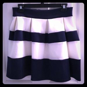 Navy and white skirt